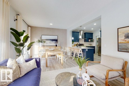 19111 20 Avenue, Edmonton, AB - Indoor Photo Showing Living Room
