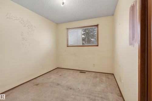 4104 109 Street, Edmonton, AB - Indoor Photo Showing Other Room