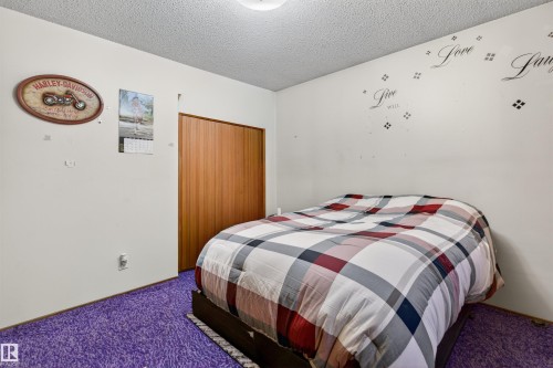 4104 109 Street, Edmonton, AB - Indoor Photo Showing Bedroom