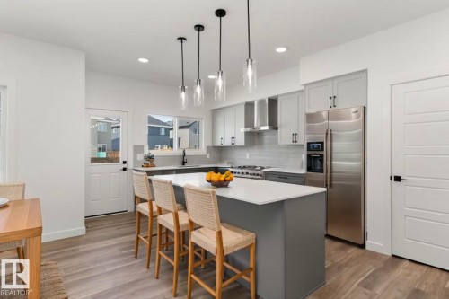 4028 207 Street, Edmonton, AB - Indoor Photo Showing Kitchen With Upgraded Kitchen