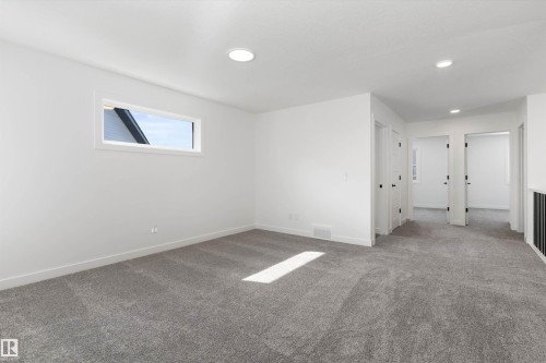 4028 207 Street, Edmonton, AB - Indoor Photo Showing Other Room