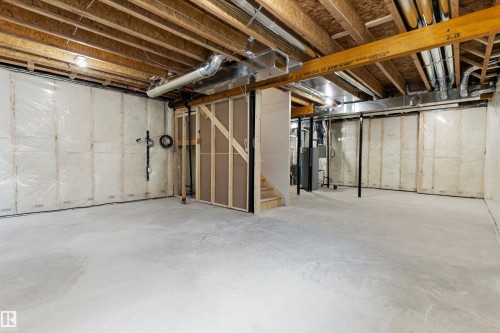 4028 207 Street, Edmonton, AB - Indoor Photo Showing Basement