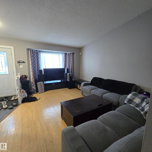 4016 22 Avenue, Edmonton, AB - Indoor Photo Showing Living Room