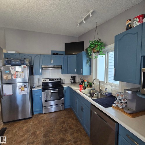 4016 22 Avenue, Edmonton, AB - Indoor Photo Showing Kitchen With Double Sink
