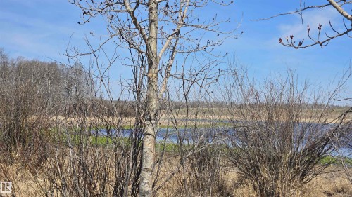 Expansive natural landscape featuring a body of water, bordered by varied vegetation and a clear sky - 11 Twin Lakes Drive, Rural Lamont County, AB 