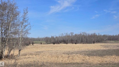 Expansive open field with natural vegetation, bordered by mature deciduous trees - 11 Twin Lakes Drive, Rural Lamont County, AB 