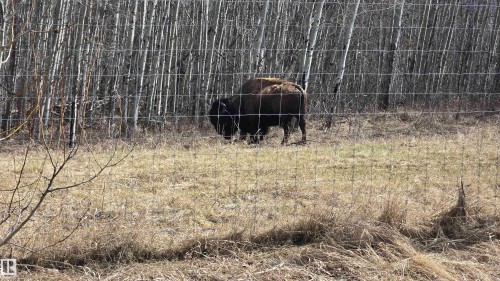 11 Twin Lakes Drive, Rural Lamont County, AB 