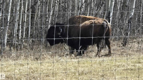 11 Twin Lakes Drive, Rural Lamont County, AB 