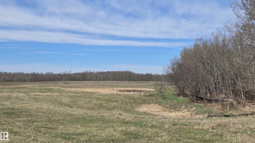 Expansive open field with scattered dry grasses - 11 Twin Lakes Drive, Rural Lamont County, AB 