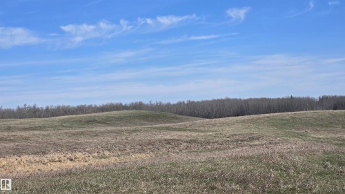 Expansive open field with rolling terrain, featuring dry grasses and an evergreen tree line along the distant horizon - 11 Twin Lakes Drive, Rural Lamont County, AB 
