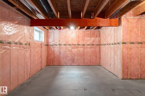 424 Songhurst Place, Leduc, AB - Indoor Photo Showing Basement