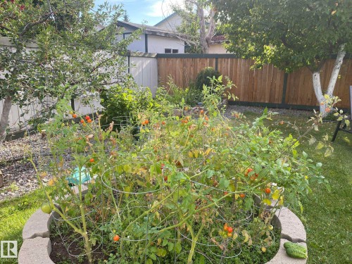 3912 30 Street, Edmonton, AB - Outdoor