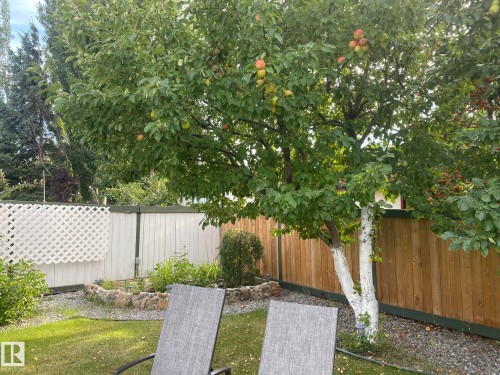 3912 30 Street, Edmonton, AB - Outdoor