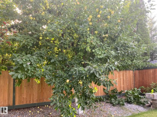 3912 30 Street, Edmonton, AB - Outdoor