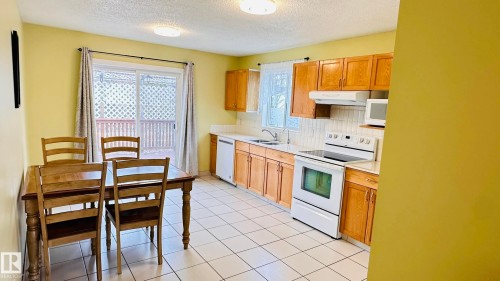 3912 30 Street, Edmonton, AB - Indoor Photo Showing Kitchen With Double Sink