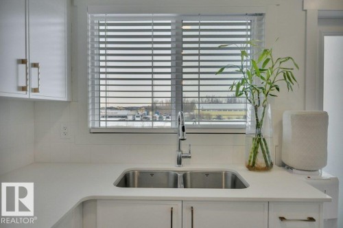 28 850 Secord Boulevard, Edmonton, AB - Indoor Photo Showing Kitchen With Double Sink