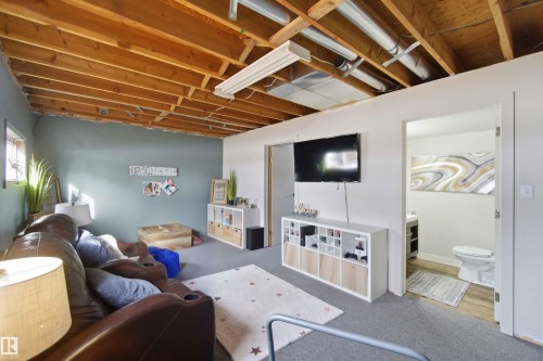 6008 54 Avenue, Camrose, AB - Indoor Photo Showing Basement