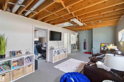 6008 54 Avenue, Camrose, AB - Indoor Photo Showing Basement