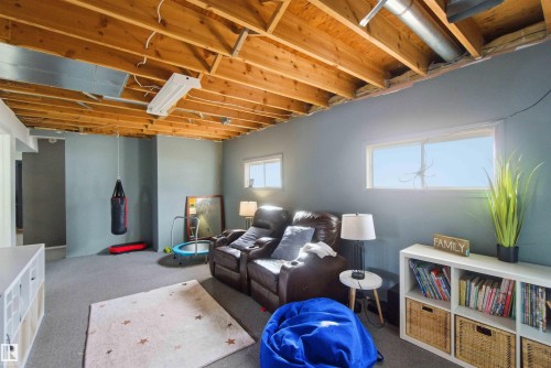 6008 54 Avenue, Camrose, AB - Indoor Photo Showing Basement