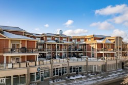 307 9750 94 Street  Edmonton, AB T6C 2E3