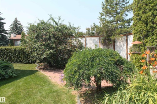 12824 157 Avenue, Edmonton, AB - Outdoor