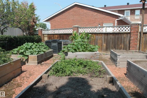 Raised Garden Beds. - 12824 157 Avenue, Edmonton, AB - Outdoor With Deck Patio Veranda With Exterior