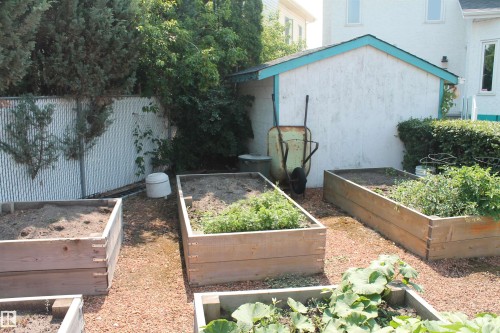 Raised Garden Beds. - 12824 157 Avenue, Edmonton, AB - Outdoor With Exterior