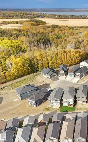 This aerial view showcases the property's proximity to a body of water and expansive natural areas with vibrant autumn foliage - 1127 Gyrfalcon Crescent, Edmonton, AB - Outdoor With View