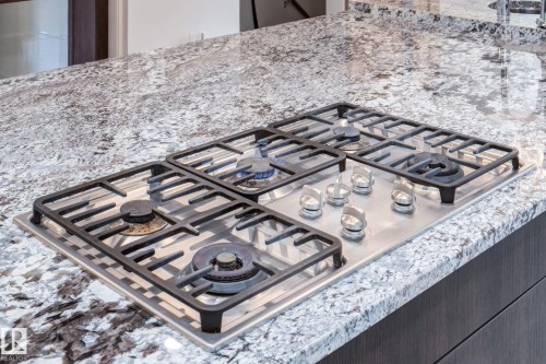 9728 141 Street, Edmonton, AB - Indoor Photo Showing Kitchen