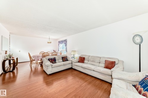 3933 103B Street, Edmonton, AB - Indoor Photo Showing Living Room