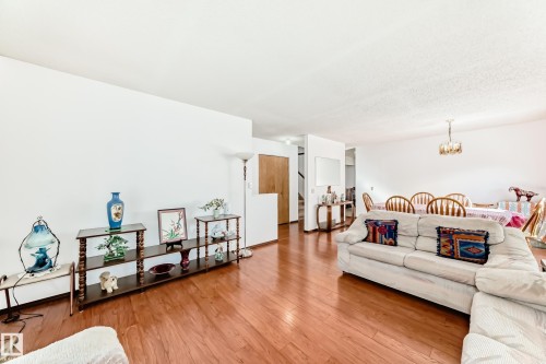 3933 103B Street, Edmonton, AB - Indoor Photo Showing Living Room