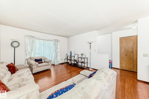 3933 103B Street, Edmonton, AB - Indoor Photo Showing Living Room