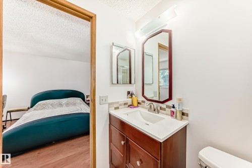 3933 103B Street, Edmonton, AB - Indoor Photo Showing Bathroom