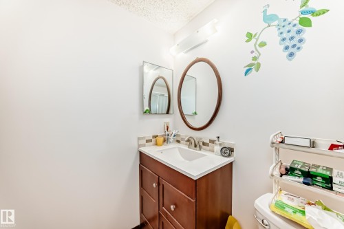 3933 103B Street, Edmonton, AB - Indoor Photo Showing Bathroom