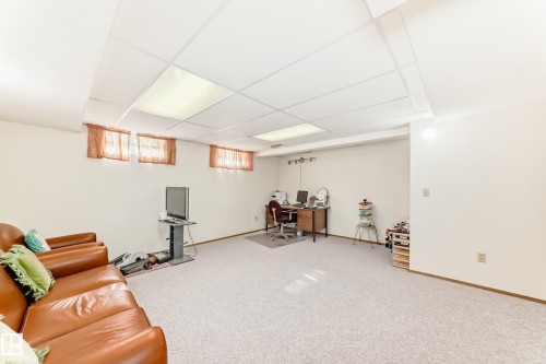 3933 103B Street, Edmonton, AB - Indoor Photo Showing Basement