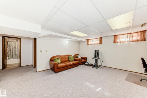 3933 103B Street, Edmonton, AB - Indoor Photo Showing Basement