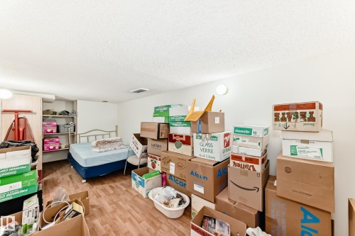 3933 103B Street, Edmonton, AB - Indoor Photo Showing Bedroom
