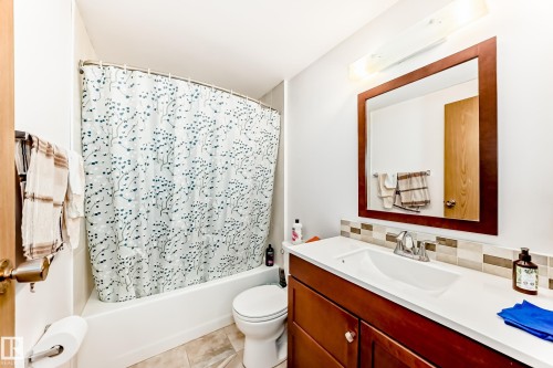 3933 103B Street, Edmonton, AB - Indoor Photo Showing Bathroom