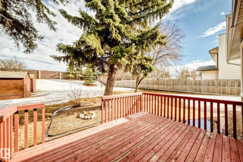 3933 103B Street, Edmonton, AB - Outdoor With Deck Patio Veranda