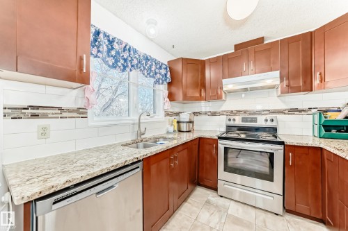 3933 103B Street, Edmonton, AB - Indoor Photo Showing Kitchen With Double Sink