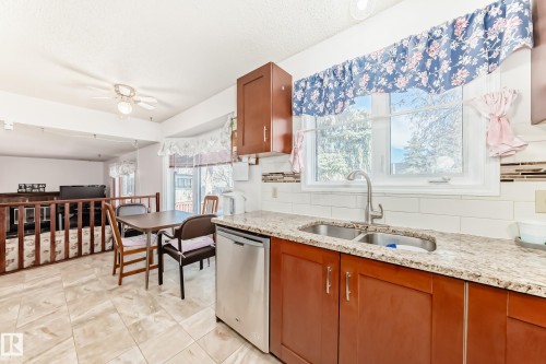 3933 103B Street, Edmonton, AB - Indoor Photo Showing Kitchen With Double Sink