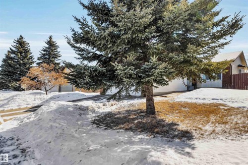The property features an exterior with a visible garage door, a front yard with remnants of snow, and mature evergreen trees - 18923 86A Avenue, Edmonton, AB - Outdoor
