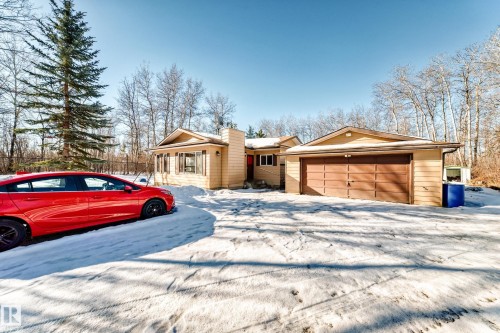 The property features a detached garage with a brown garage door, and a light-colored exterior, surrounded by bare deciduous trees and a tall evergreen tree - 100 23016 Twp Rd 504, Rural Leduc County, AB - Outdoor