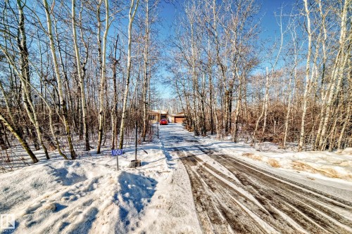 The property features a driveway leading to the residence, surrounded by numerous trees and a snowy landscape - 100 23016 Twp Rd 504, Rural Leduc County, AB - Outdoor With View