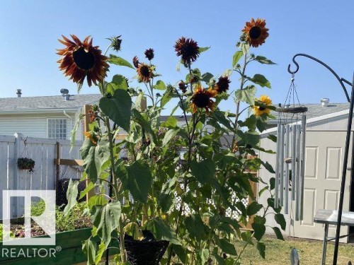 1789 Jubilee Loop, Sherwood Park, AB - Outdoor