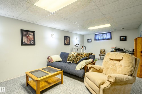 22 Forest Drive, St. Albert, AB - Indoor Photo Showing Basement