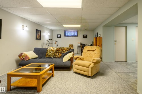 22 Forest Drive, St. Albert, AB - Indoor Photo Showing Basement