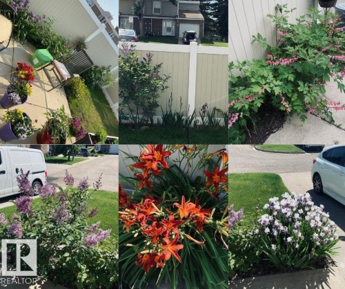 79 Grandview Ridge, St. Albert, AB - Outdoor