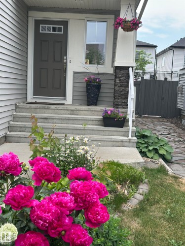 21340 51 Avenue, Edmonton, AB - Outdoor