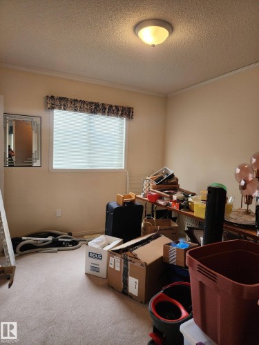 This room features a window with blinds, carpeted flooring, and a ceiling-mounted light fixture - 46 Willow Park Estates, Leduc, AB - Indoor